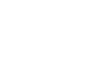 Mike-Savory-Wedding-Videographer-Logo1